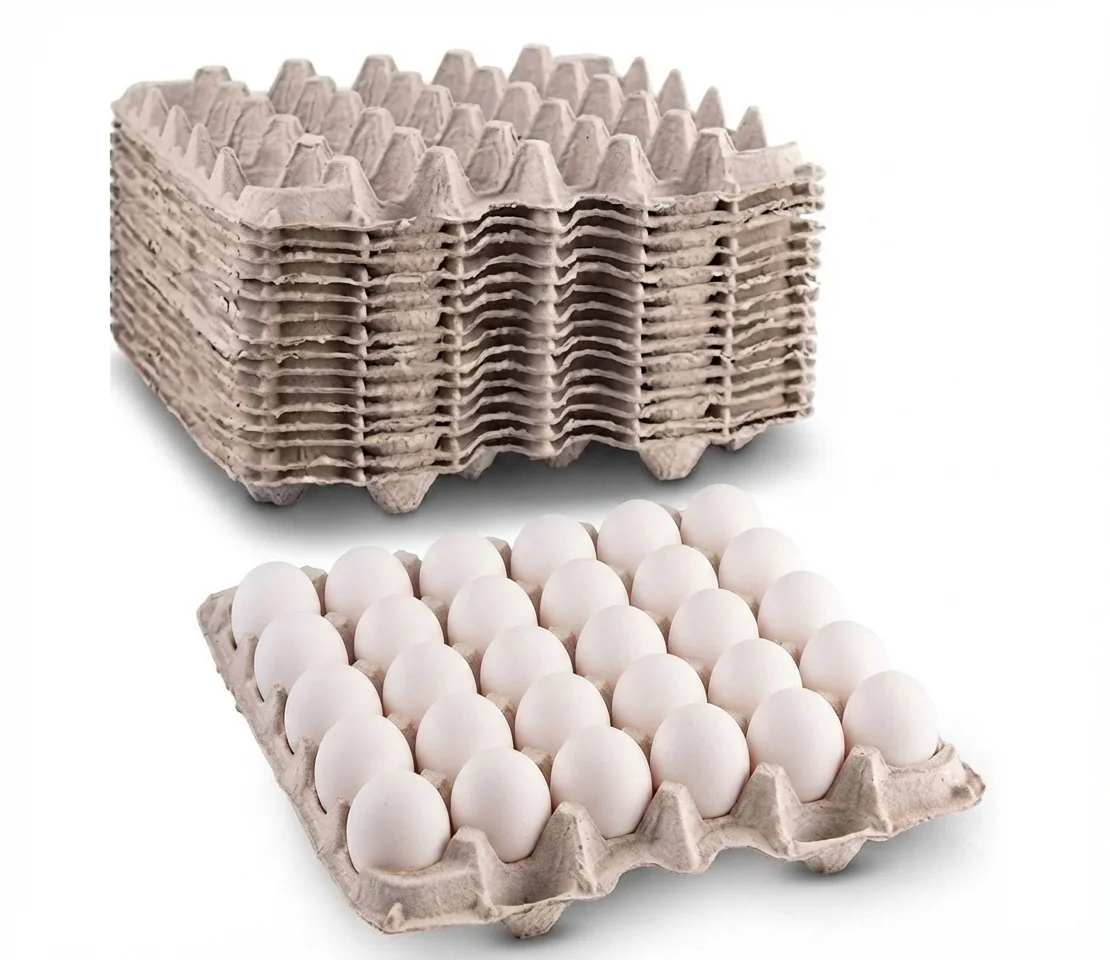 4. Wholesale Commercial Eggs